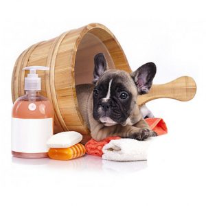 Товары для животных